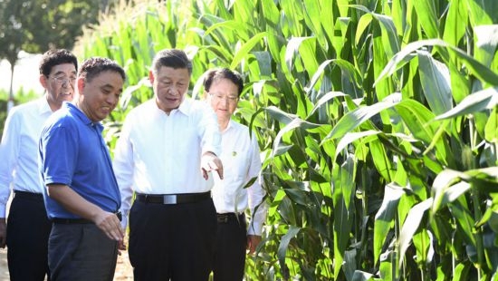 跟著總書記看中國丨吉林黑土地上筑起中國大糧倉